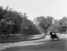 Wissahickon Creek and drive, Fairmount Park, Philadelphia, Pa., c1908. Creator: Unknown