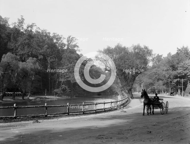 Wissahickon Creek and drive, Fairmount Park, Philadelphia, Pa., c1908. Creator: Unknown.