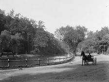 Wissahickon Creek and drive, Fairmount Park, Philadelphia, Pa., c1908. Creator: Unknown