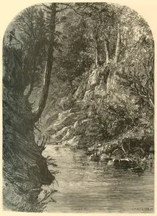 Wissahickon, near Paper-Mill Bridge 1874. Creator: John Filmer
