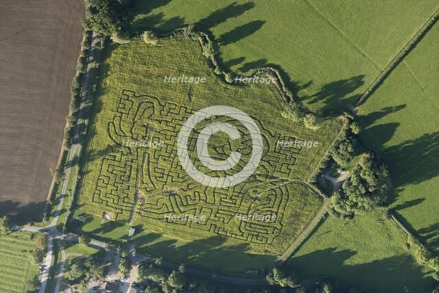 Wistow Maize Maze, Leicestershire, 2016. Artist: Damian Grady.
