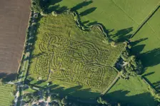 Wistow Maize Maze, Leicestershire, 2016. Artist: Damian Grady