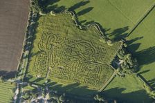 Wistow Maize Maze, Leicestershire, 2016. Artist: Damian Grady