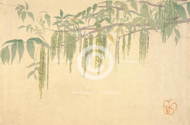 Wisteria, about 1908. Creator: Wilhelmina Seegmiller.