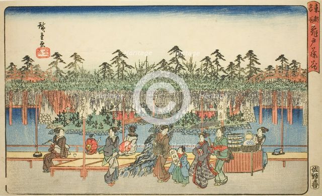Wisteria at Kameido (Kameido Tenjin fuji hana), from the series "Famous Places in the...", c1839/42. Creator: Ando Hiroshige.