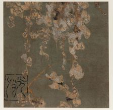 Wisteria blossoms, Edo period, early 17th century. Creator: Hon'ami Kôetsu