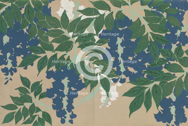 Wisteria (Fuji). From the series "A World of Things (Momoyogusa)", 1909-1910. Creator: Sekka, Kamisaka (1866-1942).