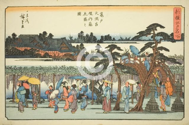 Wisteria in Full Bloom in the Precincts of the Kameido Tenmangu Shrine (Kameido Tenm..., c. 1839/42. Creator: Ando Hiroshige.