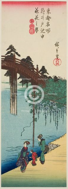 Wisteria in Full Bloom over the Pond at Kameido Shrine (Kameido ike chu fujibana no..., c. 1835/38. Creator: Ando Hiroshige.