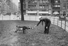 W.J. Reilly, 1917 or 1918. Creator: Bain News Service