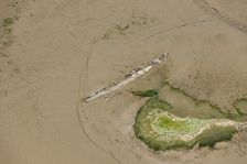 Wrecks at Stoke Saltings, Kent, 2015. Artist: Damian Grady