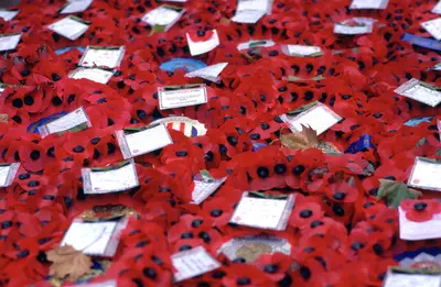 Wreaths at the Chapel, Whitehall, London. Artist: Bill Forbes