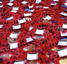 Wreaths at the Chapel, Whitehall, London. Artist: Bill Forbes