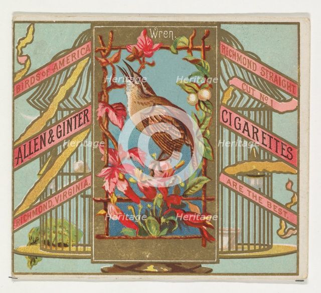 Wren, from the Birds of America series (N37) for Allen & Ginter Cigarettes, 1888. Creator: Allen & Ginter.