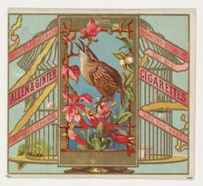 Wren, from the Birds of America series (N37) for Allen & Ginter Cigarettes, 1888. Creator: Allen & Ginter