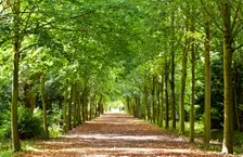 Wrest Park House and Gardens, Silsoe, Bedfordshire, c1980-c2017. Artist: Historic England commissioned photographer