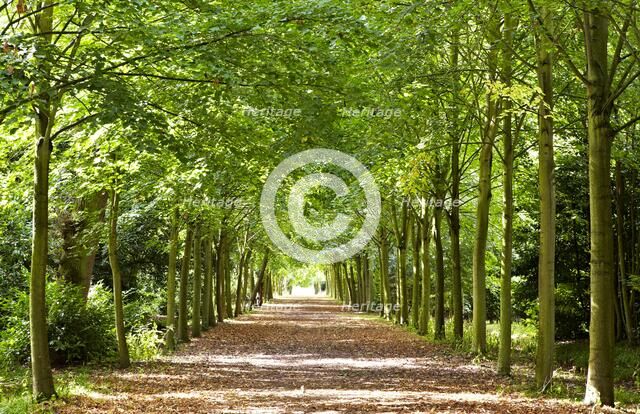 Wrest Park House and Gardens, Silsoe, Bedfordshire, c1980-c2017. Artist: Historic England commissioned photographer.