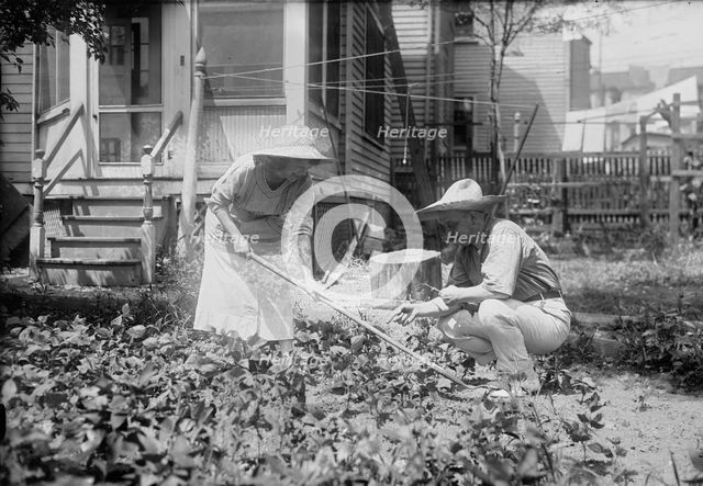 Wright & Dietrich, between c1915 and c1920. Creator: Bain News Service.