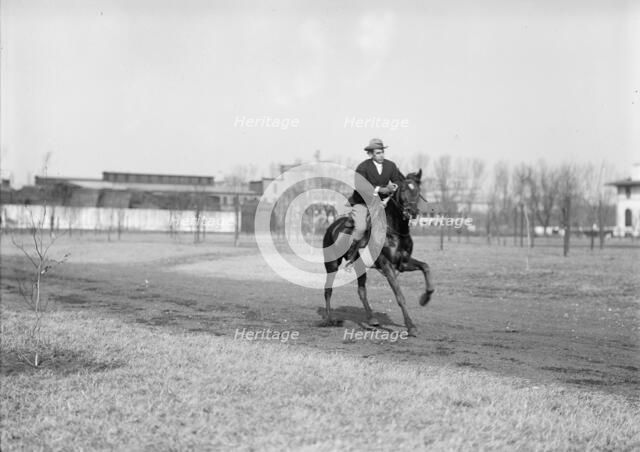 Wrisley Brown, Attorney - Riding, 1914. Creator: Harris & Ewing.