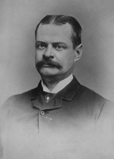 W.W. Astor, 1914. Creator: Bain News Service