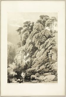 Wych Elm and Firs, from The Park and the Forest, 1841. Creator: James Duffield Harding