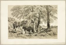 Wych Elm, from The Park and the Forest, 1841. Creator: James Duffield Harding