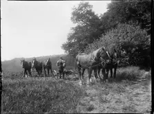 Wycombe, Buckinghamshire, 1919. Creator: Katherine Jean Macfee