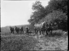 Wycombe, Buckinghamshire, 1919. Creator: Katherine Jean Macfee