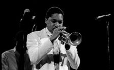 Wynton Marsalis, Capital Jazz, Royal Festival Hall, London, July 1988. Artist: Brian O'Connor