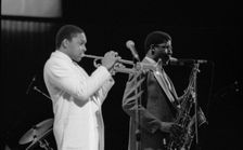 Wynton Marsalis (T Williams), Capital Jazz Festival, RFH, London, 1988. Artist: Brian O'Connor