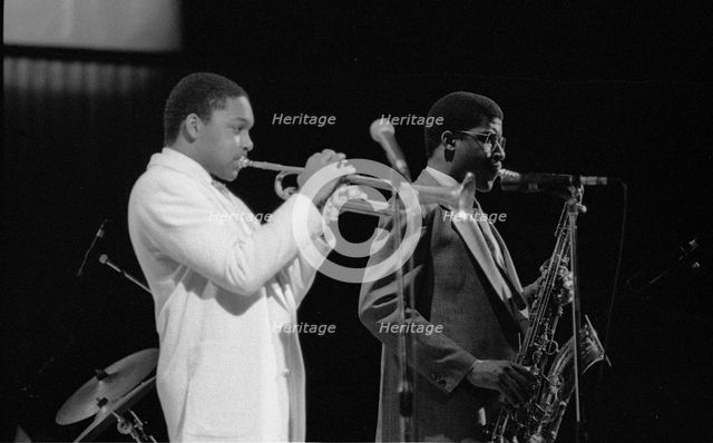 Wynton Marsalis (T Williams), Capital Jazz Festival, RFH, London, 1988.  Artist: Brian O'Connor.