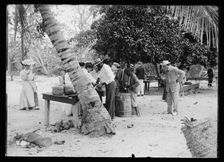 Tourists buying coconuts and fruit from vendor, probably Nassau, Bahamas, between 1900 and 1915. Creator: Unknown