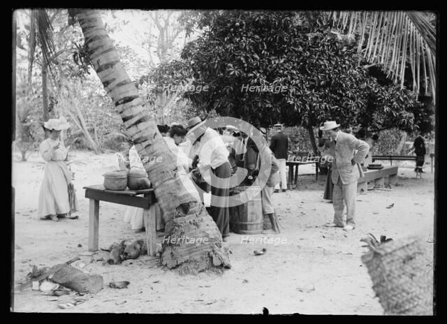 Tourists buying coconuts and fruit from vendor, probably Nassau, Bahamas, between 1900 and 1915. Creator: Unknown.