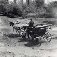 Tourists travelling by horse-drawn carriage, Bosnia and Hercegovina, Yugoslavia, 1939