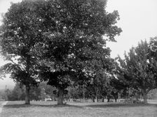 Toward the spring house, Poland Spring Hotel, South Poland, Maine, c1900. Creator: Unknown