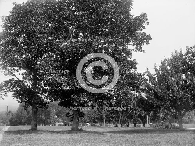 Toward the spring house, Poland Spring Hotel, South Poland, Maine, c1900. Creator: Unknown.