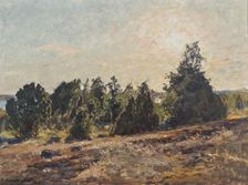 Towards Evening. Horsö in The Tjust archipelago, 1932. Creator: Gottfrid Kallstenius