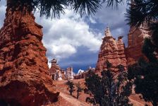 Towers. Creator: Robert Manno