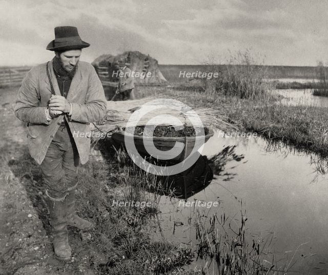 Towing the Reed, 1886. Creator: Peter Henry Emerson.