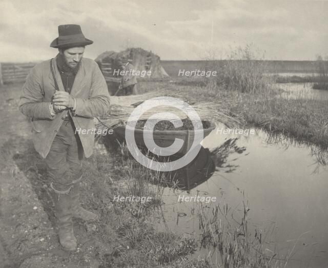 Towing the Reed, 1886. Creators: Dr Peter Henry Emerson, Thomas Frederick Goodall.