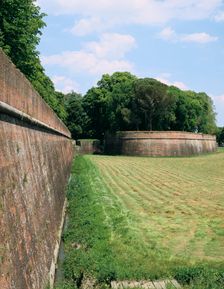 Town walls, Lucca, Tuscany, Italy. Creator: Peter Thompson