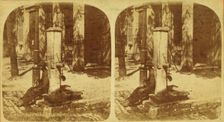 Town Pump, Familiar scene in [?], Ky., (1868-1900?). Creator: Unknown
