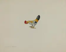 Toy Rooster, c. 1938. Creator: Lillian Hunter
