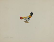 Toy Rooster, c. 1938. Creator: Lillian Hunter