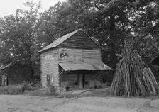 Tobacco barn near Gordonton, North Carolina, 1939. Creator: Dorothea Lange