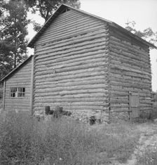 Tobacco barn and shed, Person County, North Carolina, 1939. Creator: Dorothea Lange
