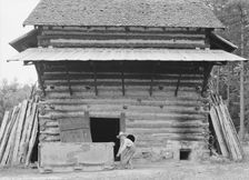 Tobacco barn ready for "putting in", Person County, North Carolina, 1939. Creator: Dorothea Lange