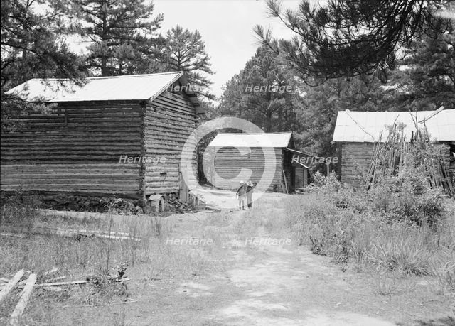 Tobacco barns on the Stone place, Upchurch, North Carolina, 1939. Creator: Dorothea Lange.