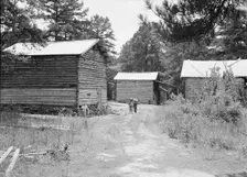 Tobacco barns on the Stone place, Upchurch, North Carolina, 1939. Creator: Dorothea Lange