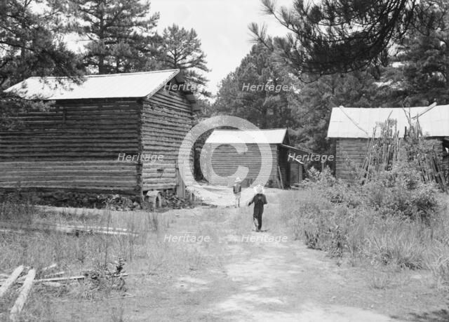 Tobacco barns on the Stone place, Upchurch, North Carolina, 1939. Creator: Dorothea Lange.